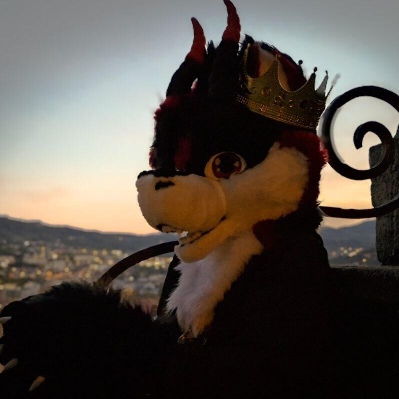 PyroFur - Président